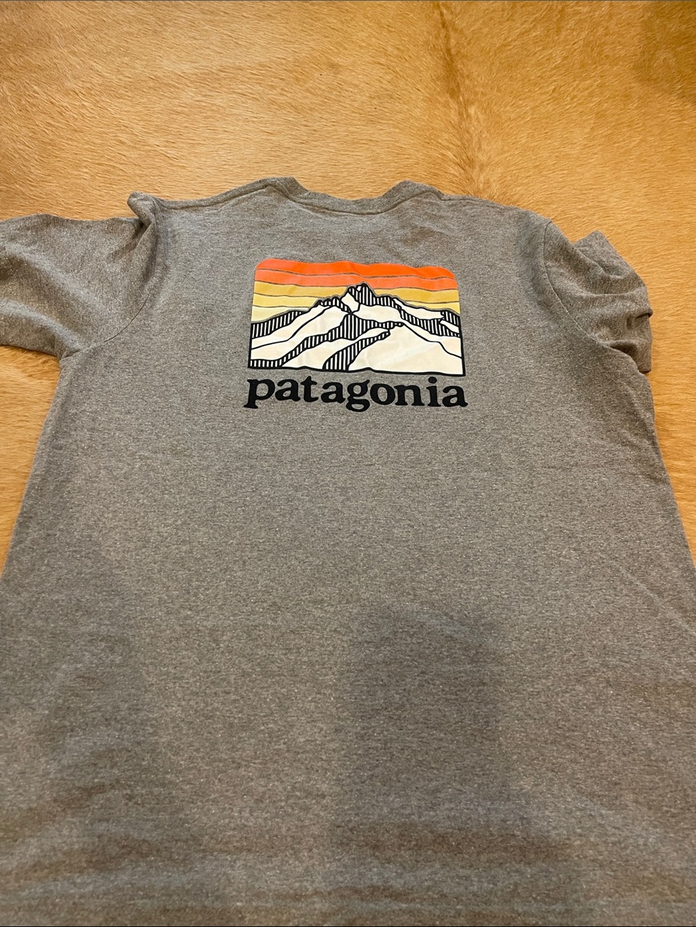 Patagonia tee
